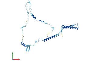 AlphaFold protein structure predicition of Human Recombinant ENKUR Protein, UniprotID Q8TC29