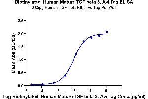 Immobilized Human TGF-beta RII, mFc Tag at 0.