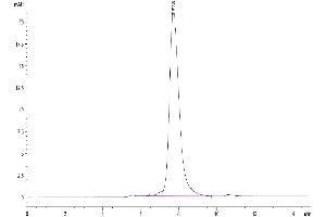The purity of Mouse IL-22R alpha 1 is greater than 95 % as determined by SEC-HPLC.