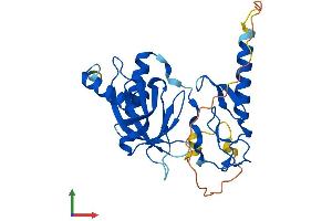 AlphaFold protein structure predicition of Human Recombinant PLEKHF1 Protein, UniprotID Q96S99