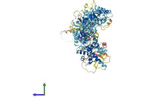 AlphaFold protein structure predicition of Mouse Recombinant Pex6 Protein, UniprotID Q99LC9