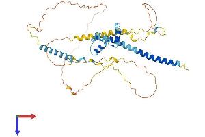 AlphaFold protein structure predicition of Mouse Recombinant Nkap Protein, UniprotID Q9D0F4