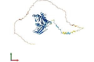 AlphaFold protein structure predicition of Human Recombinant EXOSC9 Protein, UniprotID Q06265