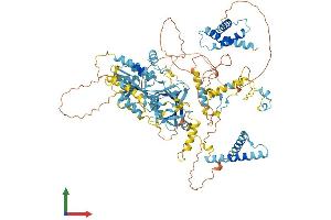 AlphaFold protein structure predicition of Mouse Recombinant Mtbp Protein, UniprotID Q8BJS8