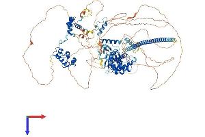 AlphaFold protein structure predicition of Mouse Recombinant Smarcc2 Protein, UniprotID Q6PDG5