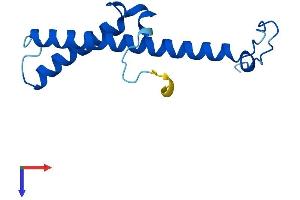 AlphaFold protein structure predicition of Human Recombinant NDUFC2 Protein, UniprotID O95298