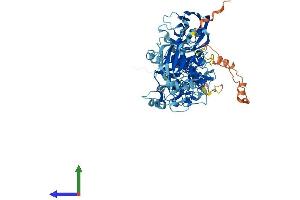 AlphaFold protein structure predicition of Mouse Recombinant Prkcg Protein, UniprotID P63318