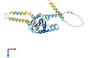 AlphaFold protein structure predicition of Mouse Recombinant Atxn3 Protein, UniprotID Q9CVD2