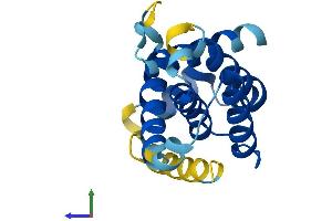 AlphaFold protein structure predicition of Mouse Recombinant Bcl2a1 Protein, UniprotID Q07440
