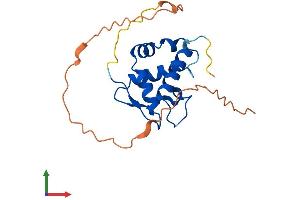 AlphaFold protein structure predicition of Human Recombinant USP17L23 Protein, UniprotID D6RBM5