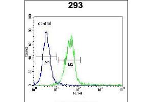 Flow cytometric analysis of 293 cells (right histogram) compared to a negative control cell (left histogram). (CLEC11A anticorps  (AA 145-174))