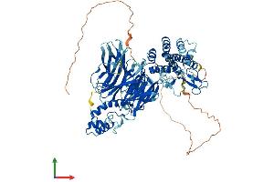 AlphaFold protein structure predicition of Human Recombinant GTF3C4 Protein, UniprotID Q9UKN8