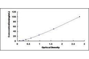 Melanoma Inhibitory Activity (MIA) ELISA Kit