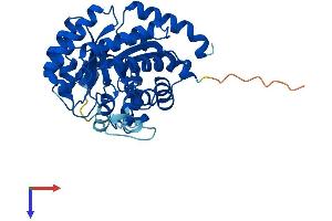 AlphaFold protein structure predicition of Human Recombinant ADAL Protein, UniprotID Q6DHV7