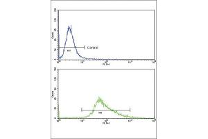 Flow Cytometry (FACS) image for anti-Wingless-Type MMTV Integration Site Family, Member 4 (WNT4) antibody (ABIN2906061)