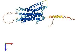 AlphaFold protein structure predicition of Human Recombinant TACR2 Protein, UniprotID P21452