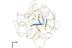 AlphaFold protein structure predicition of Human Recombinant MN1 Protein, UniprotID Q10571
