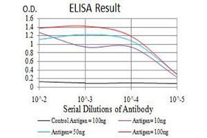 Black line: Control Antigen (100 ng),Purple line: Antigen (10 ng), Blue line: Antigen (50 ng), Red line:Antigen (100 ng) (ARFGAP1 anticorps  (AA 270-414))