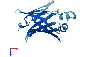 Fatty Acid Binding Protein 9, Testis (FABP9) (AA 1-132) protein (His tag)