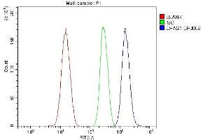 Flow Cytometry analysis of SiHa cells using anti-HIF-2-Alpha/EPAS1 antibody (ABIN7602827). (EPAS1 anticorps  (C-Term))