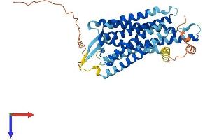 AlphaFold protein structure predicition of Mouse Recombinant Prokr2 Protein, UniprotID Q8K458