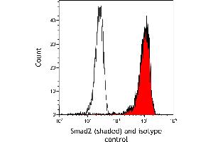 Flow Cytometry (FACS) image for anti-SMAD, Mothers Against DPP Homolog 2 (SMAD2) (AA 225-275) antibody (ABIN7454016)