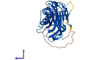AlphaFold protein structure predicition of Human Recombinant AIDA Protein, UniprotID Q96BJ3