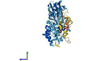 AlphaFold protein structure predicition of Mouse Recombinant Gsdmd Protein, UniprotID Q9D8T2