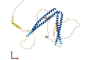 AlphaFold protein structure predicition of Mouse Recombinant Sh3bp5 Protein, UniprotID Q9Z131