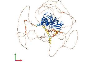 AlphaFold protein structure predicition of Human Recombinant AAK1 Protein, UniprotID Q2M2I8