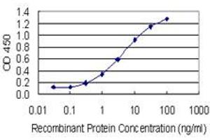 Detection limit for recombinant GST tagged AKR1C1 is 0. (AKR1C1 anticorps  (AA 1-110))