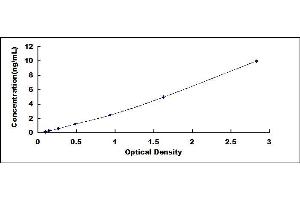 Typical standard curve (OAT Kit ELISA)