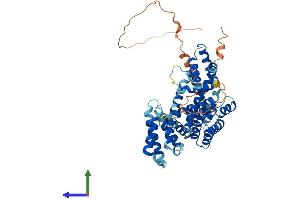 AlphaFold protein structure predicition of Human Recombinant TCP11 Protein, UniprotID Q8WWU5