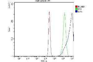 Flow Cytometry analysis of K562 cells using anti-EIF5 antibody (ABIN7599722). (EIF5 anticorps  (AA 11-423))