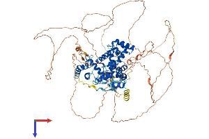 AlphaFold protein structure predicition of Mouse Recombinant Ttf1 Protein, UniprotID Q62187