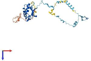 AlphaFold protein structure predicition of Human Recombinant RCAN1 Protein, UniprotID P53805