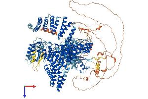 AlphaFold protein structure predicition of Human Recombinant TONSL Protein, UniprotID Q96HA7