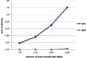 ELISA plate was coated with purified rat IgG and IgM. (Chèvre anti-Rat IgG (Heavy Chain) Anticorps (beta-Gal))