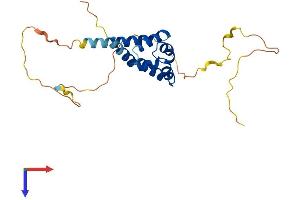 AlphaFold protein structure predicition of Human Recombinant BCL10 Protein, UniprotID O95999