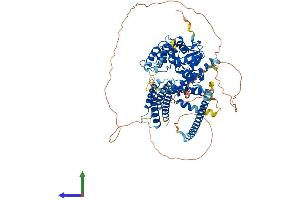 AlphaFold protein structure predicition of Mouse Recombinant Git1 Protein, UniprotID Q68FF6