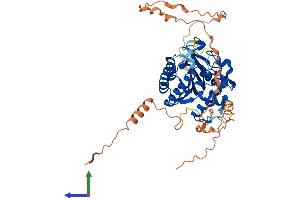 AlphaFold protein structure predicition of Mouse Recombinant Pced1a Protein, UniprotID Q6P1Z5