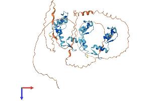 AlphaFold protein structure predicition of Human Recombinant ZNF768 Protein, UniprotID Q9H5H4