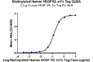 Immobilized Human VEGF165, No Tag at 2 μg/mL (100 μL/Well) on the plate. (VEGFR2/CD309 Protein (AA 20-764) (mFc Tag,Biotin))