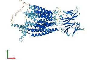 AlphaFold protein structure predicition of Mouse Recombinant Slc15a1 Protein, UniprotID Q9JIP7