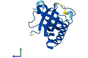 AlphaFold protein structure predicition of Mouse Recombinant Rfk Protein, UniprotID Q8CFV9