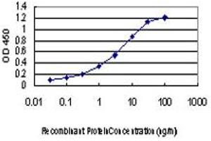 Detection limit for recombinant GST tagged BUB1 is approximately 0.