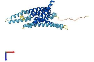 AlphaFold protein structure predicition of Mouse Recombinant Tas2r3 Protein, UniprotID Q7TQA7