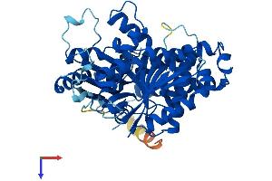 AlphaFold protein structure predicition of Mouse Recombinant Tubb5 Protein, UniprotID P99024