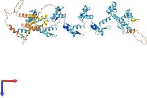 AlphaFold protein structure predicition of Human Recombinant ZNF224 Protein, UniprotID Q9NZL3