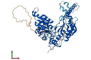 AlphaFold protein structure predicition of Human Recombinant SPTLC3 Protein, UniprotID Q9NUV7